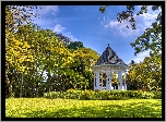 Park, Altana, Drzewa