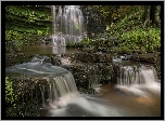 Anglia, Hrabstwo North Yorkshire, Park Narodowy Yorkshire Dales, Wodospad Scaleber Force, Omszałe, Skały, Kamienie, Rośliny