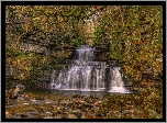 Anglia, Park Narodowy Yorkshire Dales, Wodospad Cotter Force, Rzeka Cotterdale Beck, Skały, Omszałe, Kamienie, Gałęzie