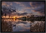 Anglia, Maidstone, Rzeka Medway, Drzewa, Trawy, Zachód słońca Anglia