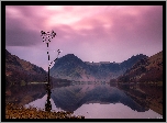 Jezioro Buttermere, Suche, Drzewo, Góry, Lake District, Anglia