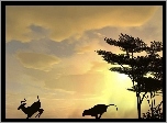Antylopa, Gepard, Drzewa