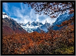 Argentyna, Patagonia, El Chalten, Góry, Mount Fitz Roy, Jesień, Drzewa