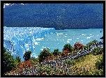 Lodowiec, Perito Moreno, Park Narodowy Los Glaciares, Argentyna