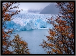 Argentyna, Park Narodowy Los Glaciares, Lodowiec, Perito Moreno, Drzewa