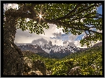 Argentyna, Patagonia, Park Narodowy Los Glaciares, Andy, Góra Fitz Roy, El Chalten, Góry, Drzewo, Promienie słońca, Chmury