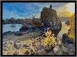 Jezioro, Watson Lake, Skały, Żółte, Krzewy, Prescott, Arizona