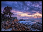Wybrzeże, Shelley Cove, Skały, Kamienie, Morze, Drzewa, Niebo, Chmury, Australia