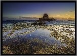 Australia, Sorrento, Park Narodowy Mornington Peninsula, Zatoka Bay of Islands, Morze, Wodorosty, Skały