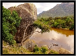 Australia, Kamień, Góry, Rzeka, Las