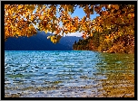 Jezioro Weissensee, Gałęzie, Liście, Drzewa, Góry, Alpy Gailtalskie, Jesień, Austria