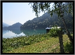 Góry, Jezioro Hintersteinersee, Przystań, Drzewa, Brzoza, Trawa, Las, Tyrol, Austria