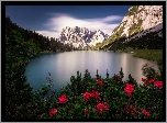 Jezioro Sebensee, Góry, Alpy, Pasmo Mieming, Kwiaty, Tyrol, Austria