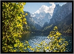 Jezioro Gosauseen, Góry, Alpy Salzburskie, Lasy, Drzewa, Powiat Gmunden, Austria