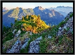 Góra Saukarkopf, Góry, Niskie Taury, Skały, Krzyż, Drzewa, Trawa, Austria