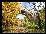 Most, Henry Avenue Bridge, Drzewa, Jesień, Filadelfia, Stan Pensylwania, Stany Zjednoczone