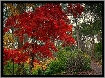 Park, Ławka, Jesień