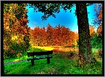 Park, Ławka, Jesień