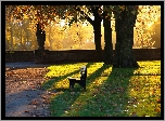 Park, Ławka, Alejki, Liście, Przebijające, Światło, Jesień