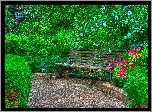 Park, Ławka, Krzewy