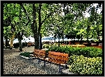 Park, Ławki, Jezioro