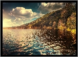 Niemcy, Badenia-Wirtembergia, Jezioro Titisee, Drzewa, Kaczki