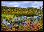 Bagnisty, Brzeg, Rzeki, Wzgórza, Norwegia