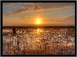 Stany Zjednoczone, Floryda, Park Narodowy Everglades, Zachód Słońca, Bagno