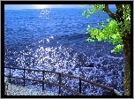 Ocean, Balustrada, Drzewo