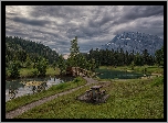 Góry, Góra, Mount Rundle, Drzewa, Staw, Mostek, Park Narodowy Banff, Alberta, Kanada