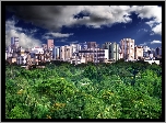 Bangladesz, Dhaka, Miasto, Las