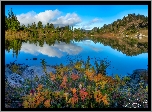 Stany Zjednoczone, Waszyngton, Park Narodowy Olympic, Jezioro, Basin Lake, Góry, Drzewa, Kolorowe, Krzewy, Kamienie, Jesień