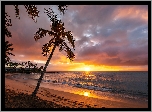 Zachód słońca, Chmury, Morze, Plaża, Napili Beach, Palmy, Wyspa, Maui, Hawaje