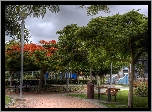 Park, Bench, Nature, Spain, Aleja, Wyspy, Kanaryjskie