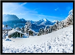 Niemcy, Berchtesgaden, Zima, Góry, Lasy, Dolina, Kurort