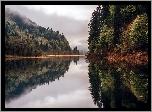 Jezioro Bergsee, Drzewa, Odbicie, Las, Mgła, Bawaria, Niemcy