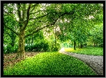 Park, Berlin, Niemcy