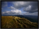 Bieszczady, Góry, Trawa, Chmury