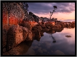 Australia, Tasmania, Binalong Bay, Morze, Skały, Głazy, Drzewo, Wschód słońca, Chmury