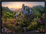 Góry, Skały, Słoneczny blask, Krzewy, Kwiaty