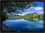 Słowenia, Jezioro Bled, Kościół, Kaczki, Góry, Drzewa, Wzgórze, Zamek Bled Castle