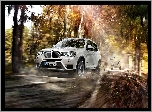 Bmw X3, Droga, Drzewa