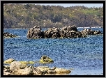 Bornholm, Dania