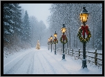 Boże Narodzenie, Zima, Droga, Latarnie, Wieńce, Choinka, Mgła, Las