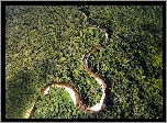 Brazylia, Z lotu ptaka, Droga, Las