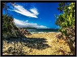 Kanada, Kolumbia Brytyjska, Tonquin Park, Plaża Tonquin Beach, Morze, Skały, Drzewa