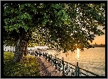 Rzeka, Brzeg, Drzewa, Kasztanowiec, Alejka, Wschód słońca