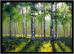 Brzozowy, Las, Przebijające, Światło