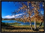 Jezioro, Brzozy, Jesień