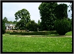 Park, Budynek, Drzewa